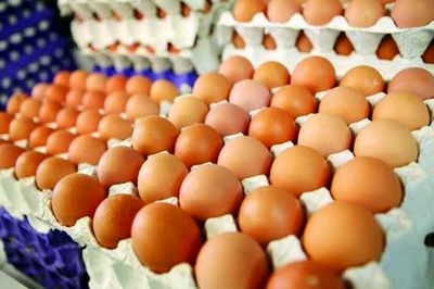 آخرین وضعیت بازار تخم‌مرغ