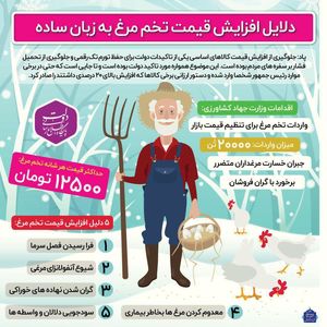 دلایل افزایش قیمت تخم‌مرغ به زبان ساده +اینفوگرافیک