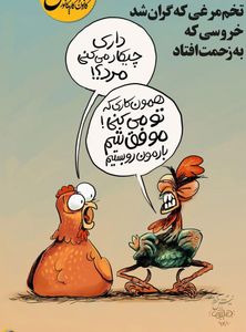 گرانی تخم‌مرغ، کار دست خروس‌ها داد! (کاریکاتور)