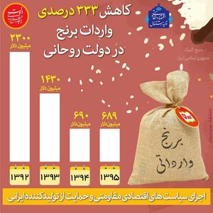 کاهش ۳۳۳ درصدی واردات برنج در دولت روحانی +اینفوگرافیک