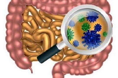 میکروب‌های روده عامل بروز سندروم خستگی مزمن