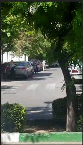 خیابان شیخ بهایی شمالی +فیلم