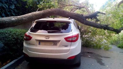 تصادف درخت و هیوندا در توفان تهران +عکس