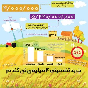 خریدتضمینی ۴میلیون تن گندم توسط دولت یازدهم +اینفوگرافیک