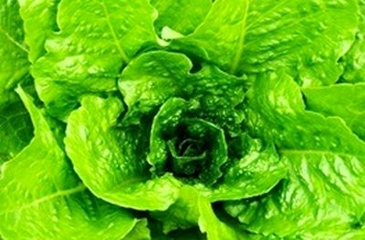 ممنوعیت فروش سبزی خوردن خانگی در غذا فروشی‌ها