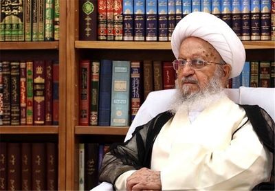 آیت الله مکارم: دکتر هاشمی در وزارت بهداشت دولت دوازدهم ابقاء شود
