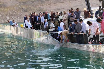 افتتاح فاز نخست بزرگترین طرح پرورش‌ماهی در قفس با حمایت بانک کشاورزی