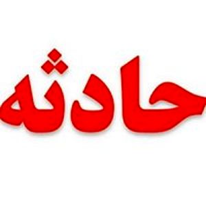 خرس به یک دامدار در مازندران حمله کرد