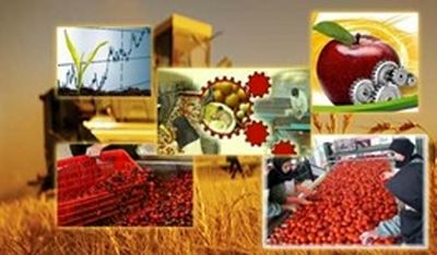 تغییرات تولید محصولات کشاورزی در دولت یازدهم