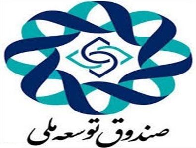 جزییات عملکرد ارزی و ریالی صندوق توسعه ملی