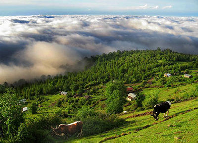 بهترین مناطق برای مسافرت تابستانی کجاست؟