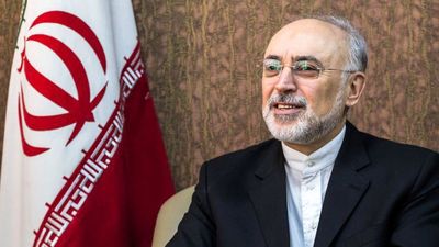 صالحی: فعالیت‌های نیروگاه بوشهر تحت نظارت آژانس است