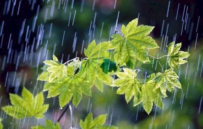 احتمال وقوع سیل در ۱۰استان کشور