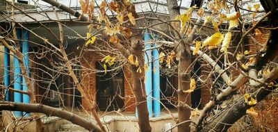 خروج خانه نیما یوشیج از ثبت ملی