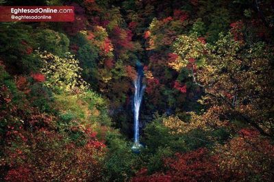آبشاری در میان رنگ‌ها در عکس روز نشنال جئوگرافیک +تصویر