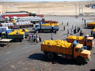 آینده نامعلوم صادرات محصولات کشاورزی به عراق/ راه حل چیست؟