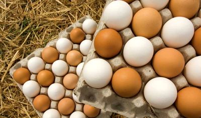 افزایش ۳۵درصدی قیمت تخم‌مرغ در آمریکا