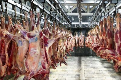 عرضه گوشت گوسفند تا ۴۰هزارتومان در بازار
