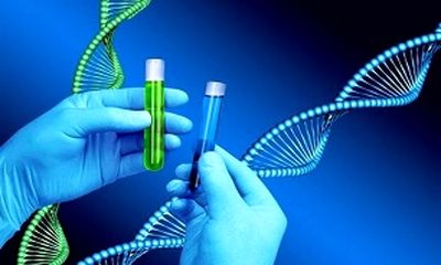 اولین مرحله پایگاه داده های ژنوم ایرانی تشکیل شد