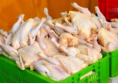 ۹.۶ درصد؛ افزایش قیمت مرغ