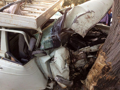 برخورد پیکان با درخت به مرگ راننده منجر شد