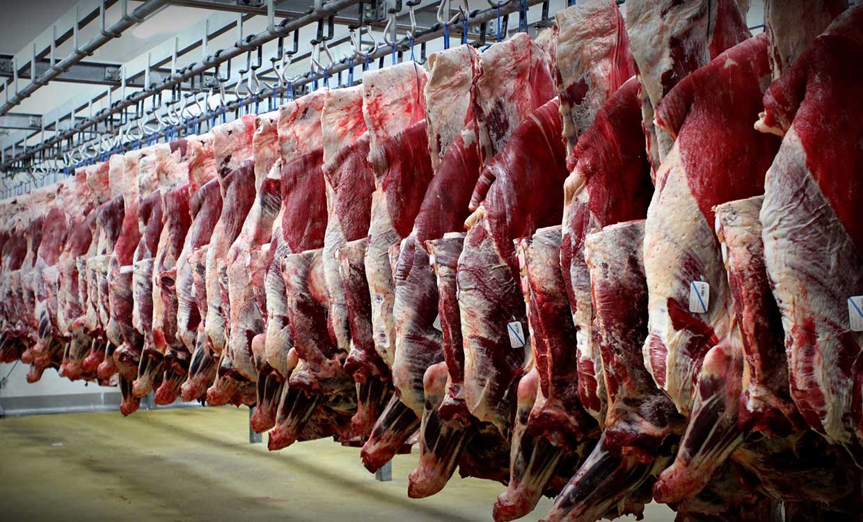رکود بر بازار گوشت حاکم است
