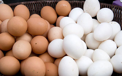 تخم‌مرغ ۴۲۰تومانی فقط در میادین تره‌بار!