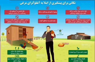 نکاتی برای پیشگیری از ابتلا به آنفلوآنزای مرغی +اینفوگرافیک