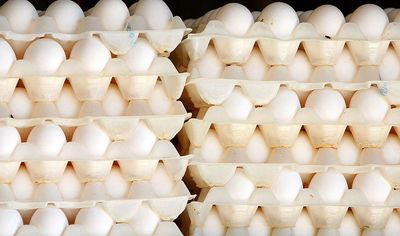 خلاء ۲۰درصدی عرضه تخم مرغ در بازار