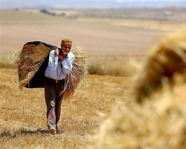 بازنشستگی روستاییان ۶۰ ساله با پرداخت ۱۰ سال حق بیمه