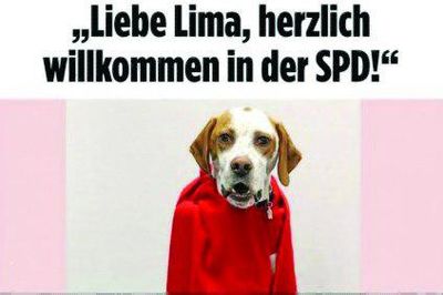 سگی در حزب سوسیال‌دمکرات آلمان