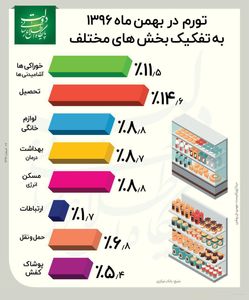 جزییات تورم بهمن ماه +اینفوگرافیک