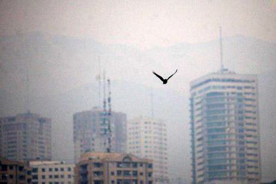 عامل اصلی آلودگی هوا در کشور مشخص شد