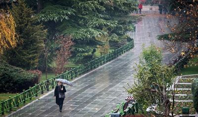 بارش باران در محورهای شمالی و شرقی کشور