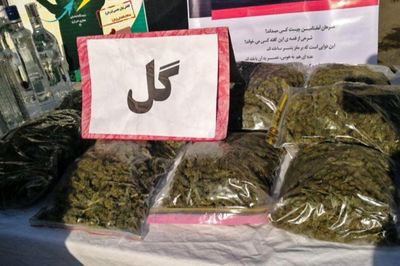 افزایش مصرف ماده مخدر گل در تهران