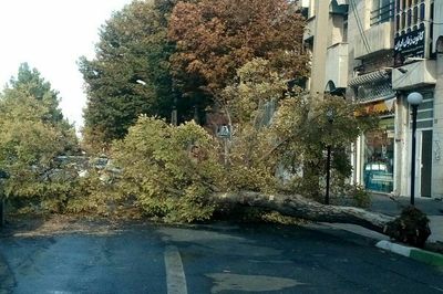 تندباد شدید در ارومیه خسارت به بار آورد