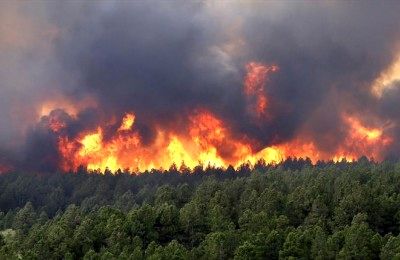علت آتش سوزی در جنگل‌های شمال کشور