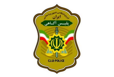 هشدار پلیس: مراقب کلاهبرداران به ظاهر نظافتچی و قالیشویی باشید