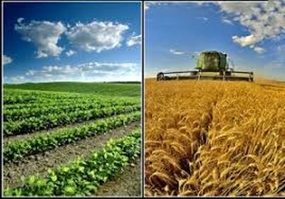 بررسی قانون نظام مهندسی کشاورزی، آب و محیط‌زیست در کمیسیون کشاورزی