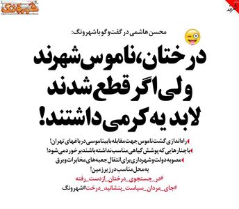 گشت ناموس در تهران راه‌اندزی می‌شود! (طنز)