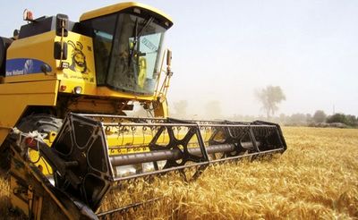 توقف افزایش قیمت خرید تضمینی تهدیدی برای پایداری کشاورزی کشور است