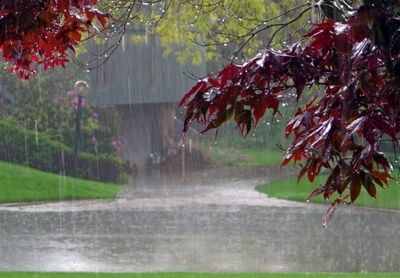 کاهش ۴۹درصدی میانگین بارش در کشور