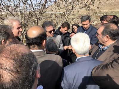 خسارت جدی سرمای فروردین‌ماه به باغات ۱۷ استان