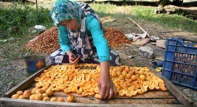 اصلاح وضعیت تغذیه زنان روستایی و عشایر، در دستور