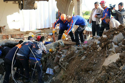 وقوع زمین‌لرزه ۵.۲ ریشتری در ترکیه