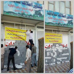 برخورد شهرداری شیراز با مالکی که درخت توت کهنسال را قطع کرد +عکس