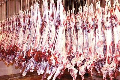 عرضه روزانه ۱۰۰تن گوشت گوسفندی در تهران