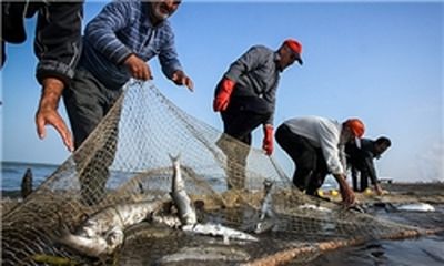 مهلت صید ماهیان استخوانی دریای خزر تمدید شد