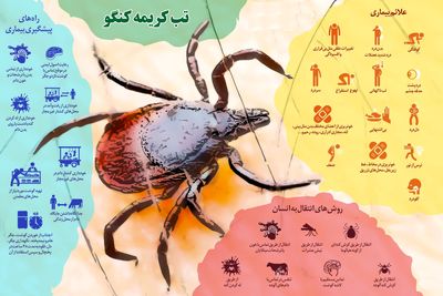 تب کریمه کنگو +اینفوگرافیک