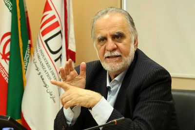 کرباسیان: توقف پروژه احمدی‌نژاد تبعات داشت